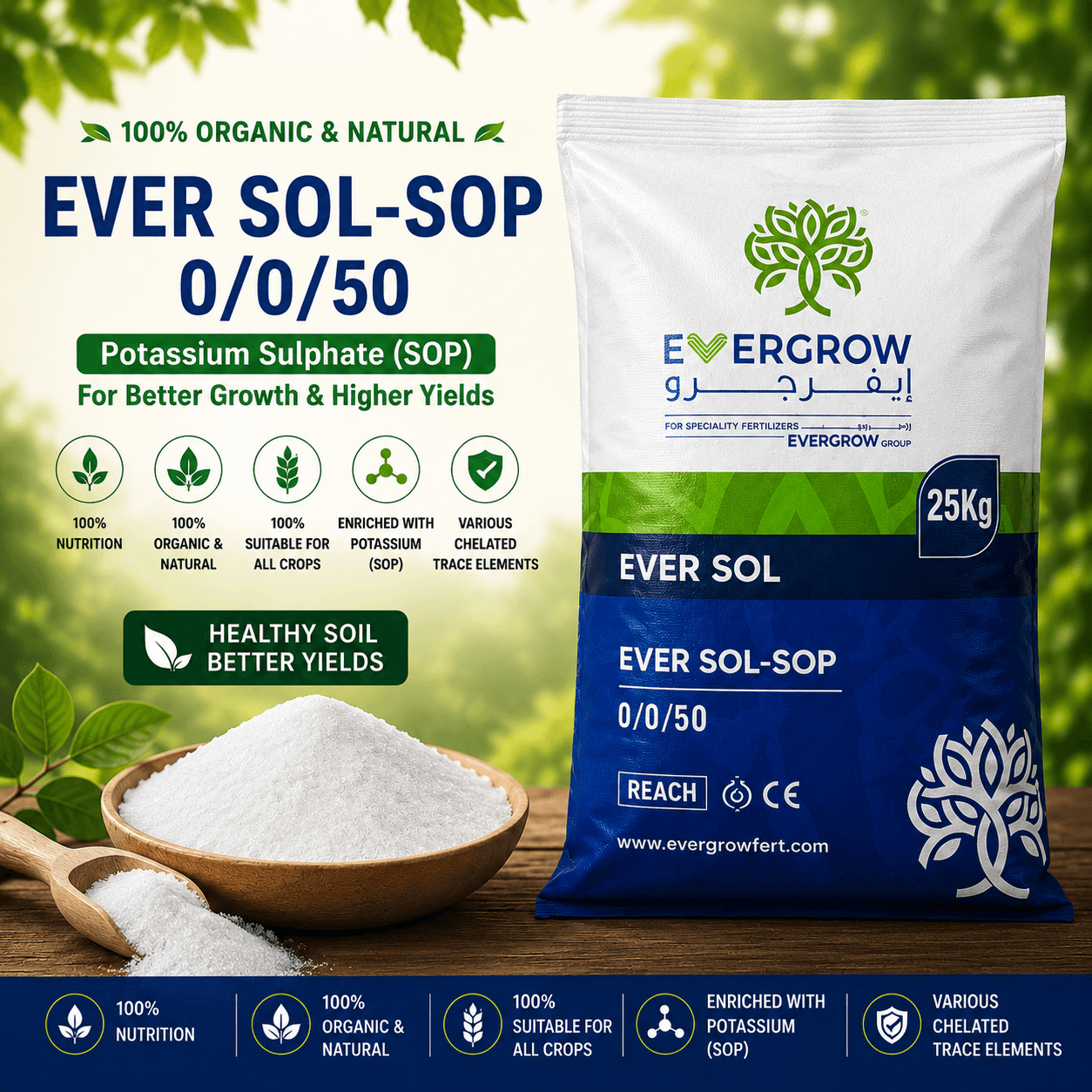 EVER SOL-SOP 0/0/50 - Image 1